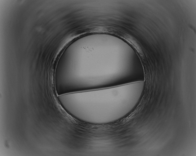 X0000097641000200802290818