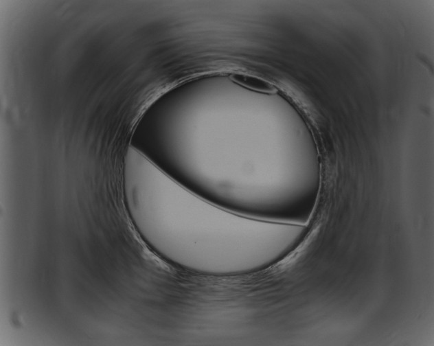 X0000097641001200802290818