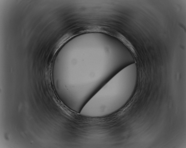 X0000097641002200802290818