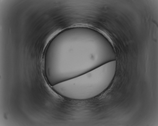 X0000097641003200802290818