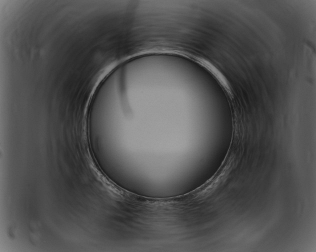 X0000097641004200802290818