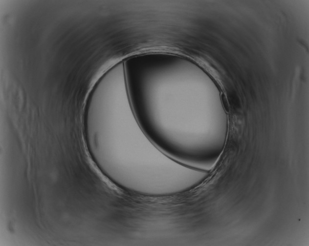 X0000097641005200802290818