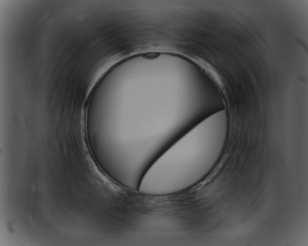 X0000097641006200802290818