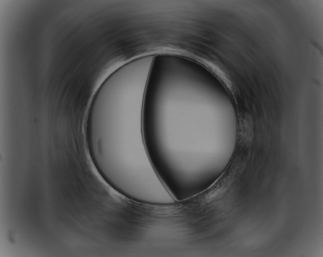 X0000097641007200802290818