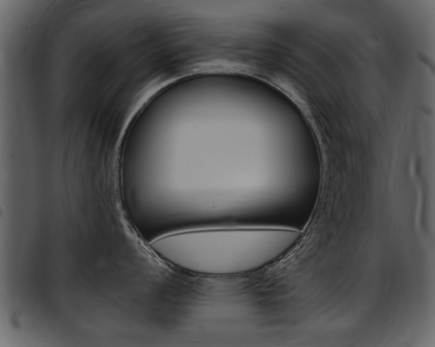 X0000097641008200802290818