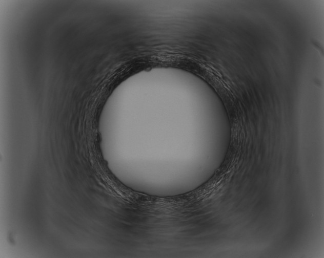 X0000097641009200802290817