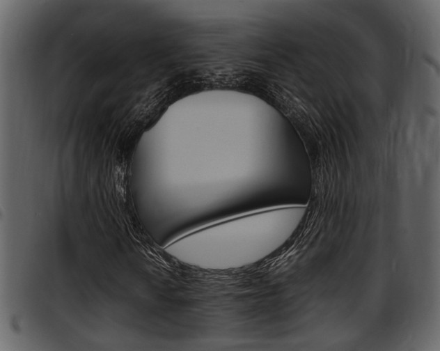 X0000097641010200802290817