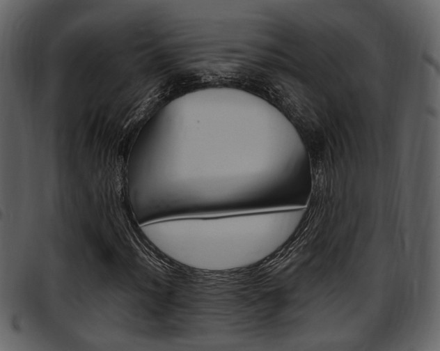X0000097641012200802290817
