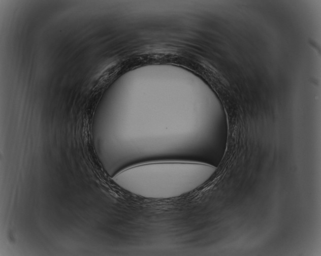 X0000097641014200802290817