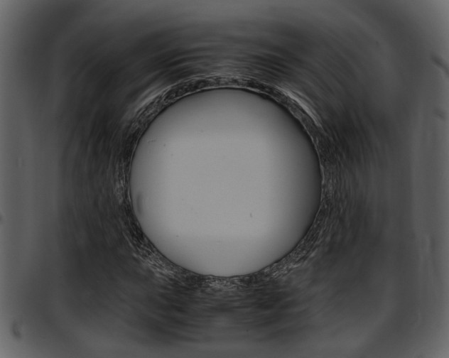 X0000097641015200802290817