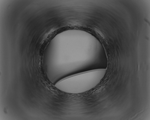 X0000097641016200802290817