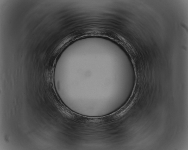 X0000097641017200802290817