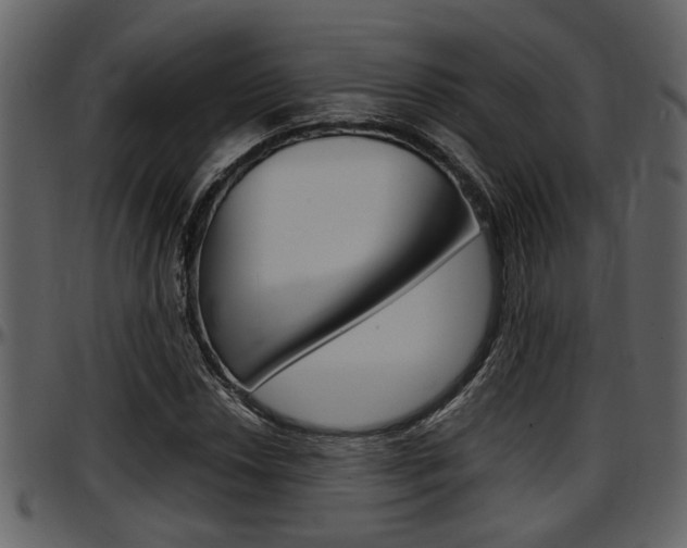 X0000097641018200802290817