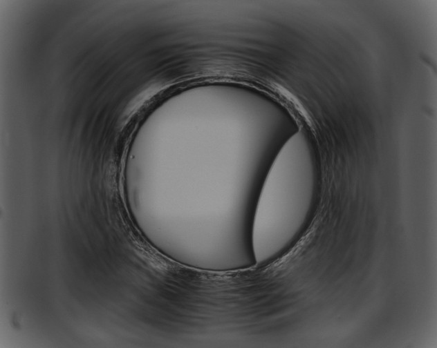 X0000097641019200802290817