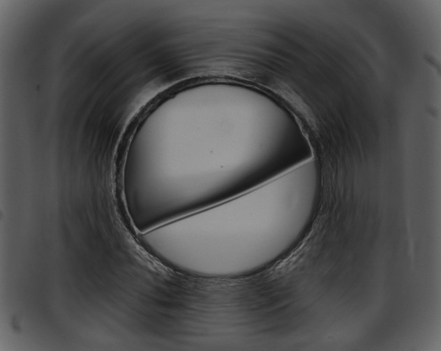X0000097641020200802290817