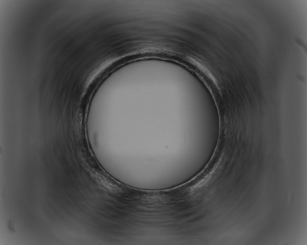 X0000097641021200802290817