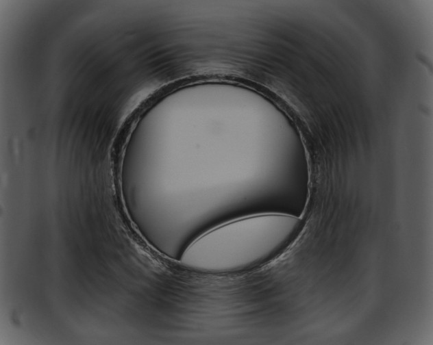 X0000097641022200802290817