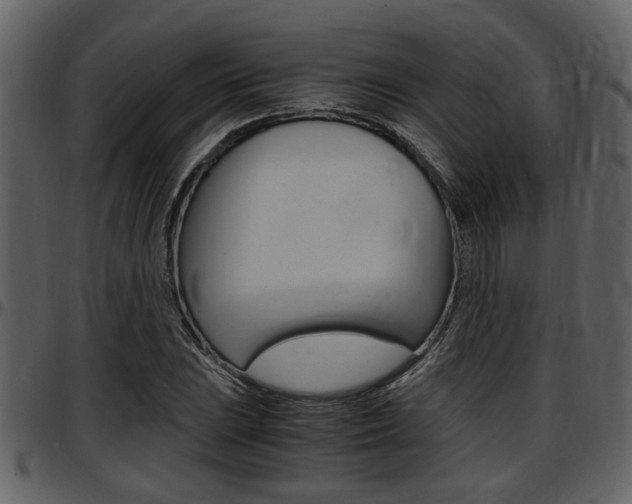 X0000097641023200802290817