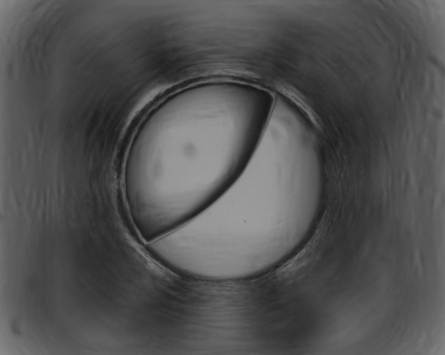 X0000097641024200802290817