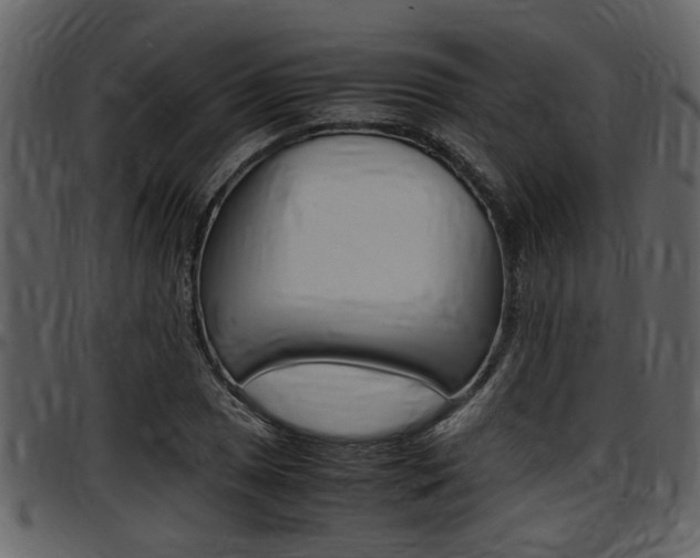 X0000097641025200802290817