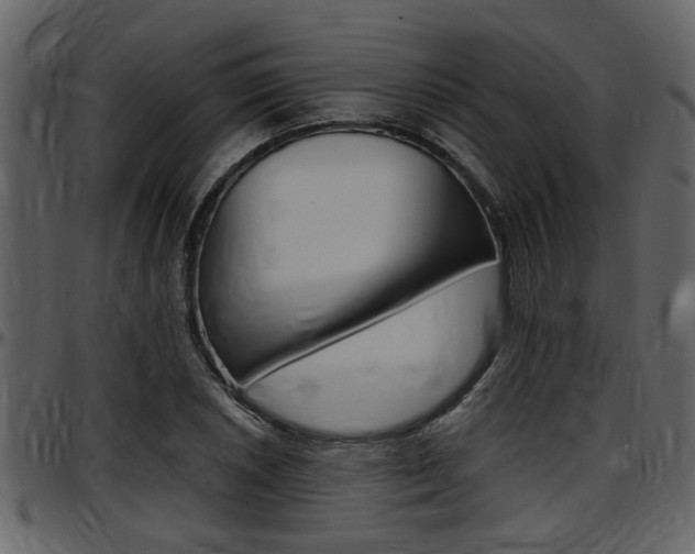 X0000097641026200802290817