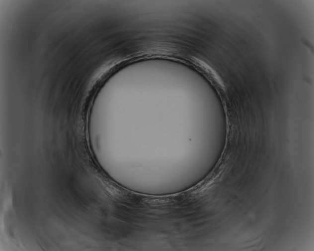 X0000097641027200802290817