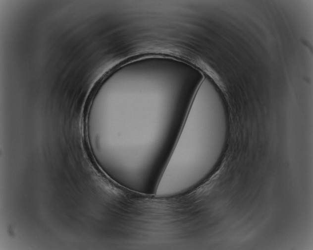 X0000097641028200802290817
