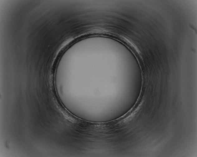 X0000097641029200802290817