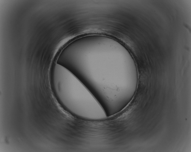 X0000097641030200802290817