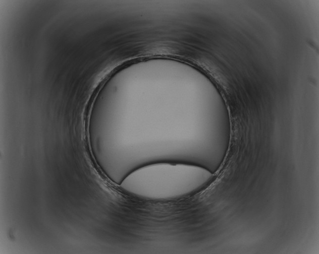 X0000097641031200802290817