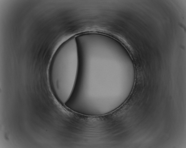 X0000097641032200802290817