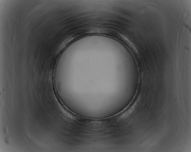 X0000097641033200802290817