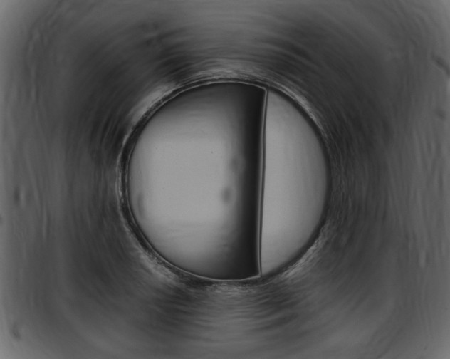X0000097641034200802290817