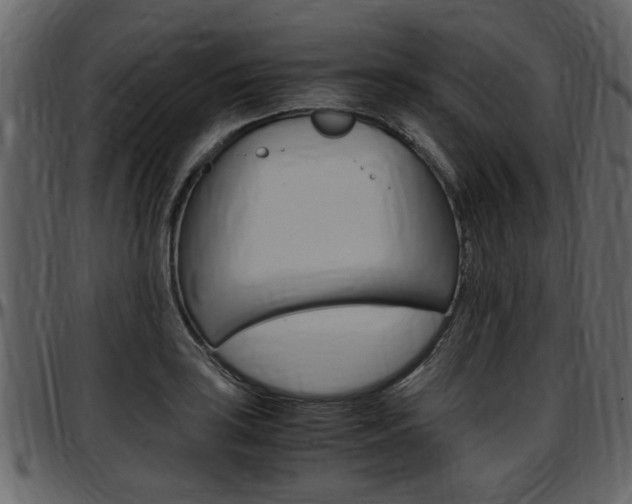 X0000097641035200802290817