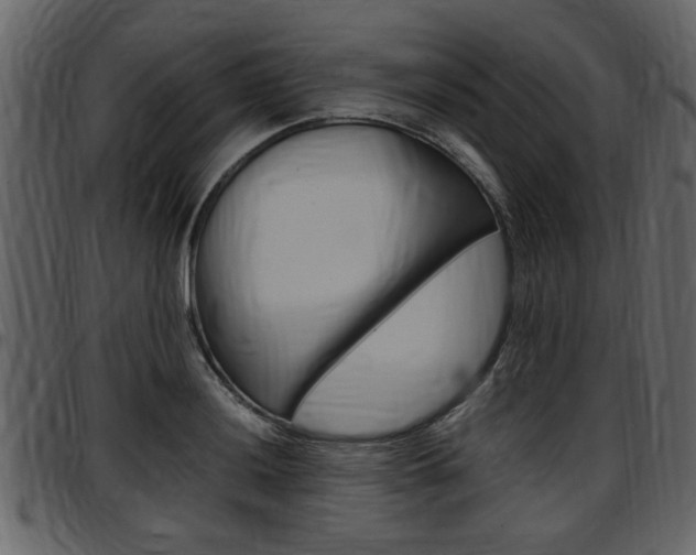 X0000097641036200802290817