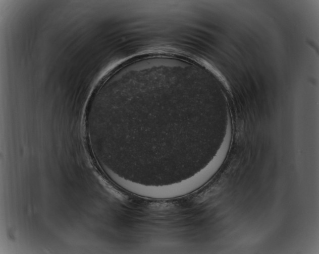 X0000097641037200802290817