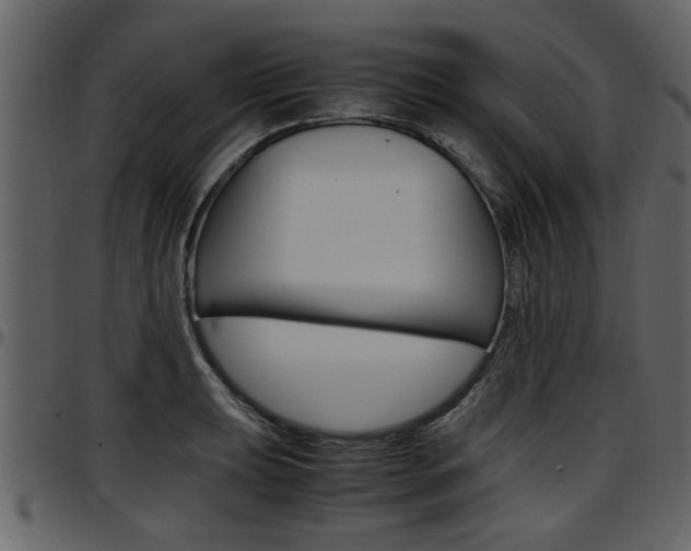 X0000097641039200802290817