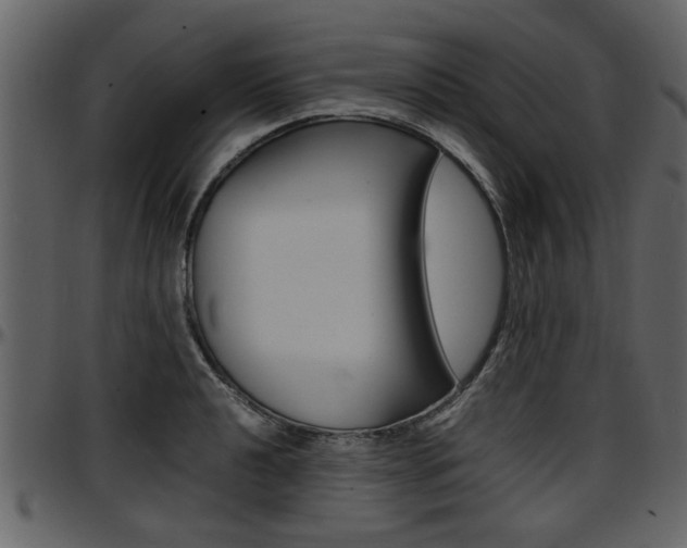 X0000097641040200802290817