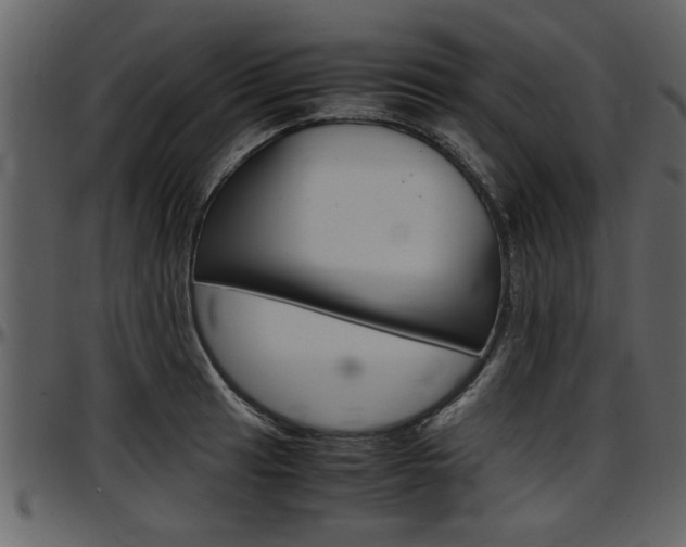 X0000097641041200802290817
