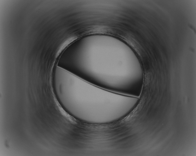 X0000097641042200802290817