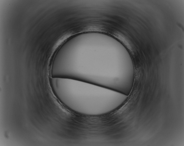 X0000097641043200802290817