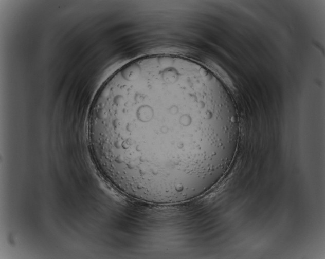 X0000097641044200802290817