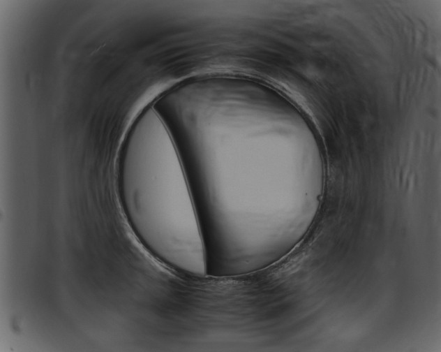 X0000097641045200802290817