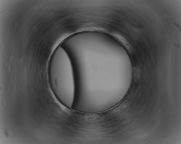 X0000097641046200802290817