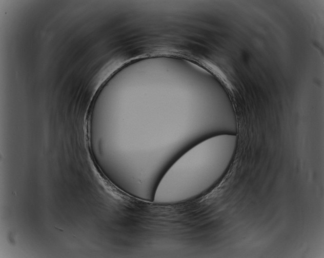 X0000097641047200802290817