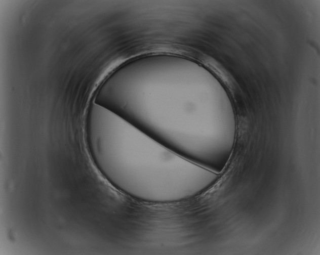 X0000097641048200802290817