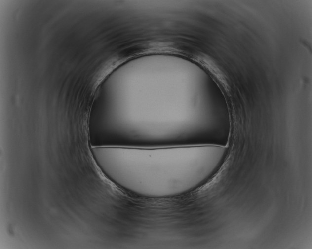 X0000097641049200802290817
