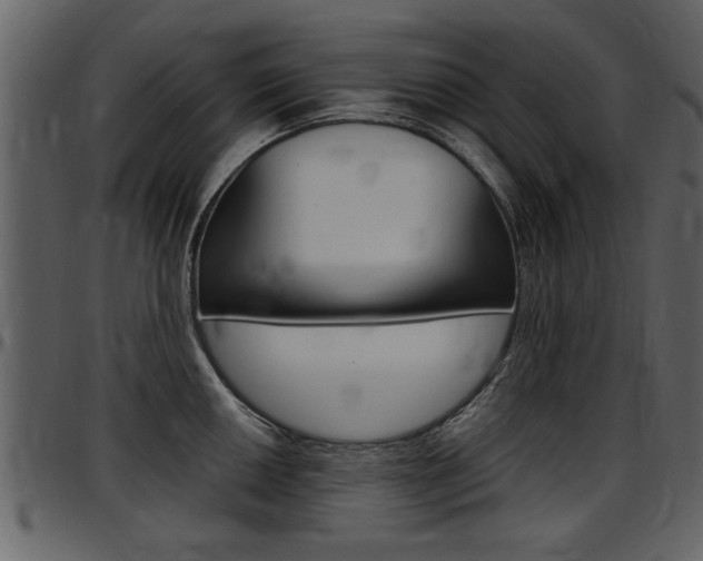 X0000097641050200802290818