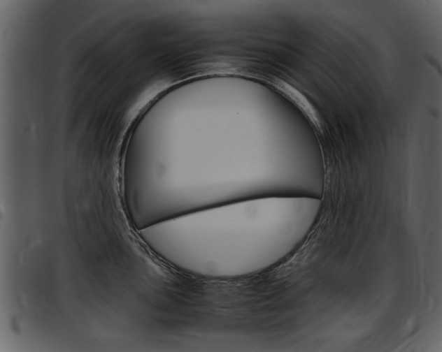 X0000097641051200802290818