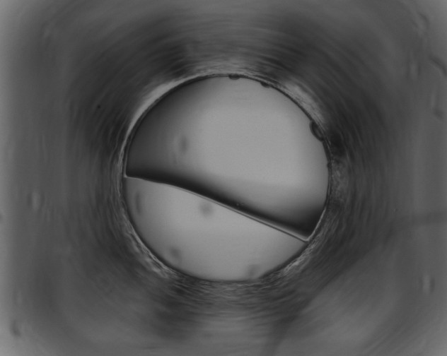 X0000097641052200802290818